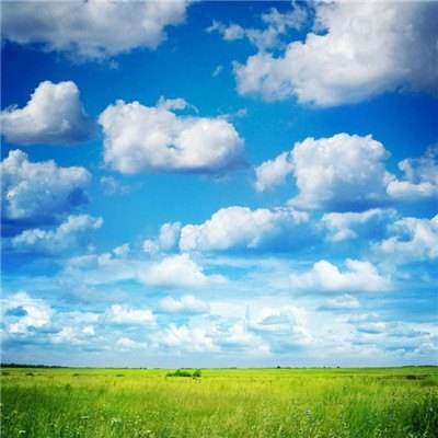 竞彩足球app官网下载